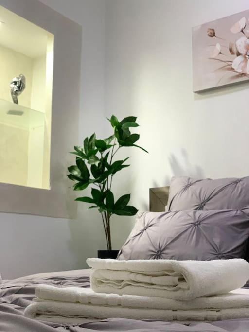 Studio Central Mm Apartments Braşov Eksteriør bilde