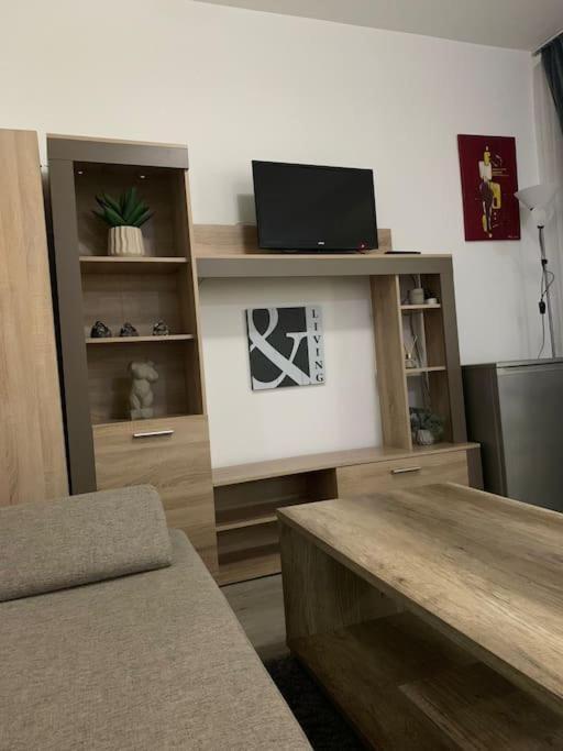 Studio Central Mm Apartments Braşov Eksteriør bilde
